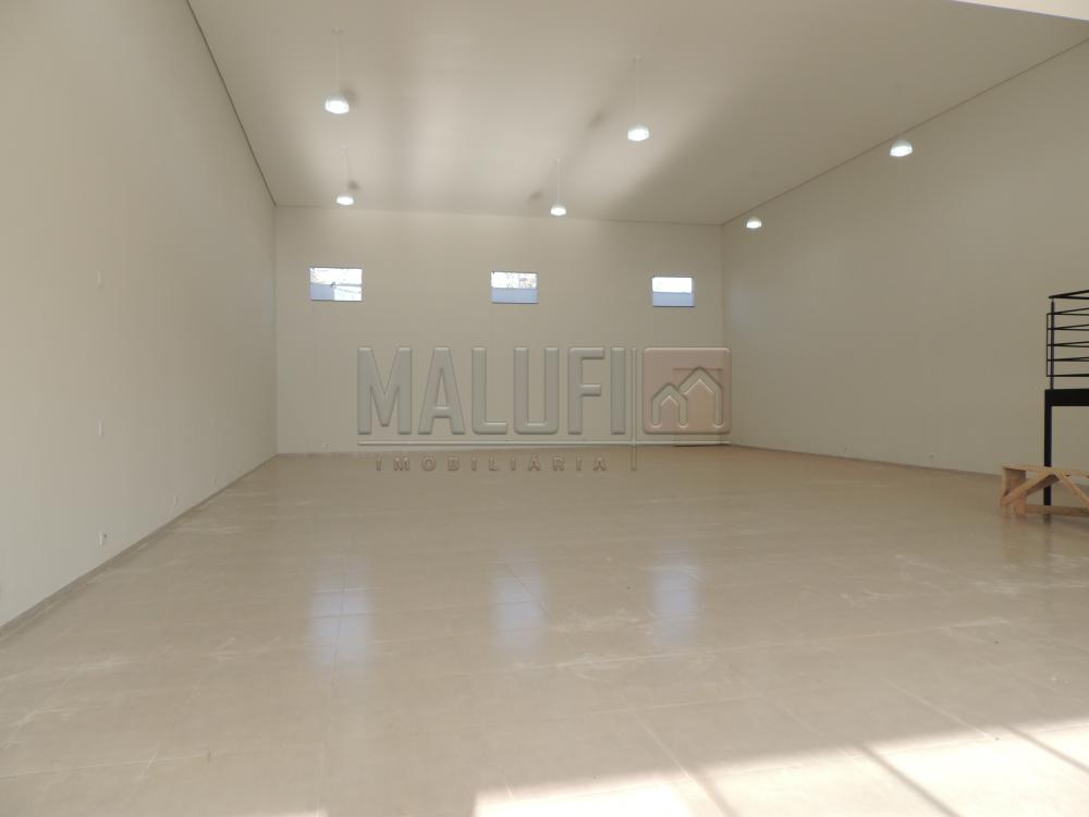 Alugar Comerciais / Barracão em Olímpia R$ 4.000,00 - Foto 4 Alugar Comerciais / Barracão em Olímpia R$ 4.000,00 - Foto 4
