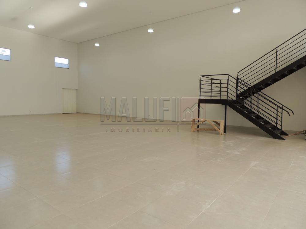 Alugar Comerciais / Barracão em Olímpia R$ 4.000,00 - Foto 6 Alugar Comerciais / Barracão em Olímpia R$ 4.000,00 - Foto 6