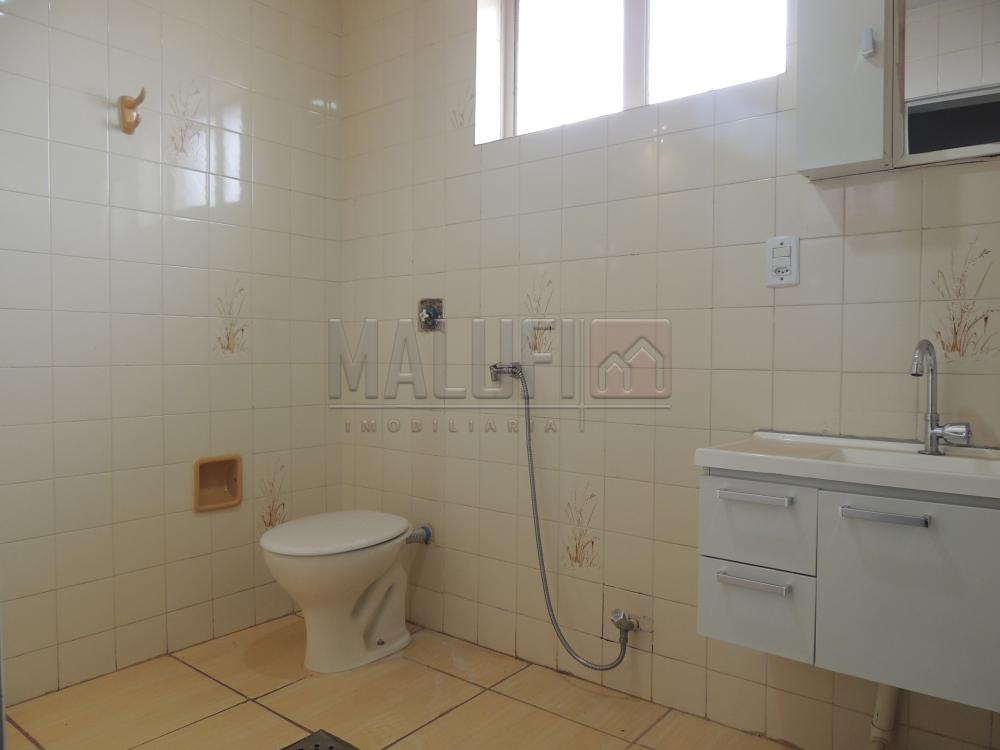 Alugar Apartamentos / Padrão em Olímpia R$ 800,00 - Foto 6