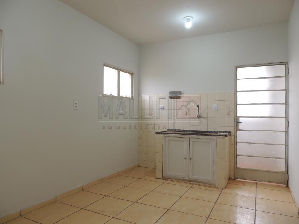 Alugar Apartamentos / Padrão em Olímpia R$ 800,00 - Foto 1