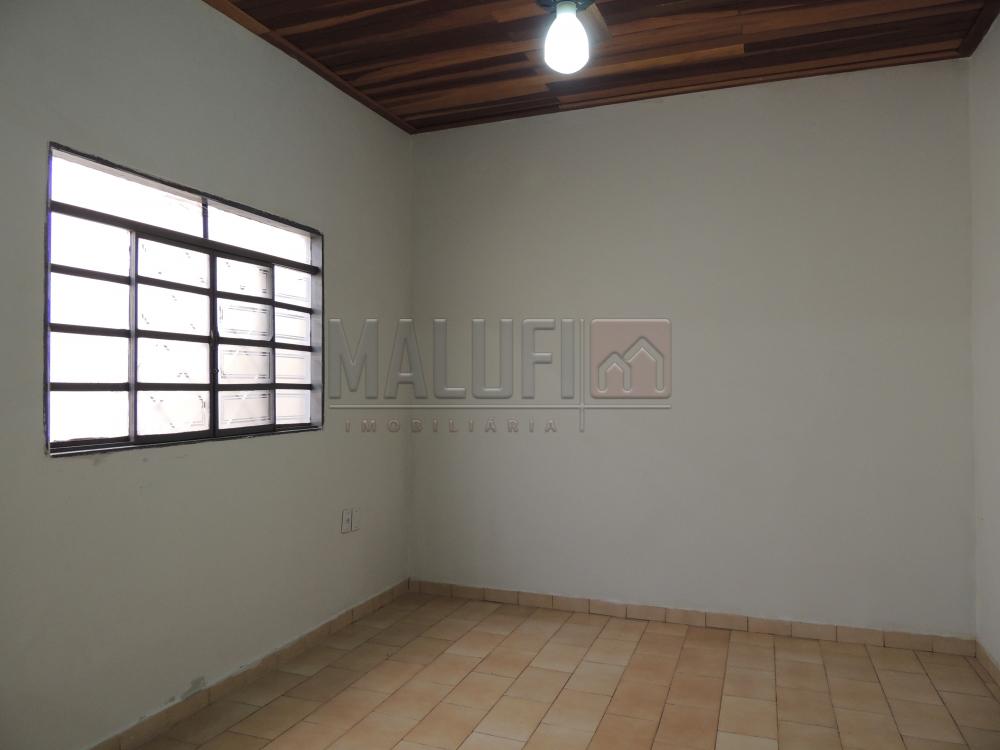 Alugar Casas / Padrão em Olímpia apenas R$ 1.300,00 - Foto 2 Alugar Casas / Padrão em Olímpia apenas R$ 1.300,00 - Foto 2