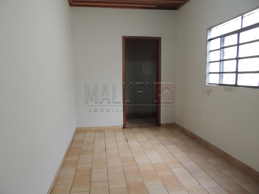 Alugar Casas / Padrão em Olímpia apenas R$ 1.300,00 - Foto 3 Alugar Casas / Padrão em Olímpia apenas R$ 1.300,00 - Foto 3