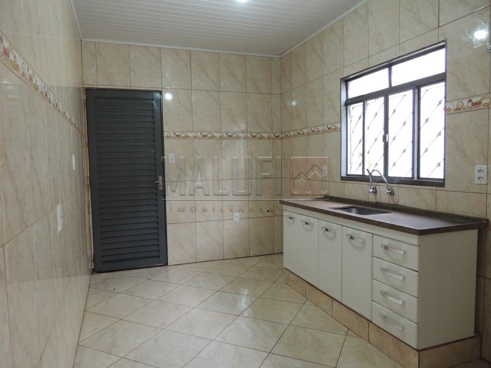 Alugar Casas / Padrão em Olímpia apenas R$ 1.300,00 - Foto 8 Alugar Casas / Padrão em Olímpia apenas R$ 1.300,00 - Foto 8