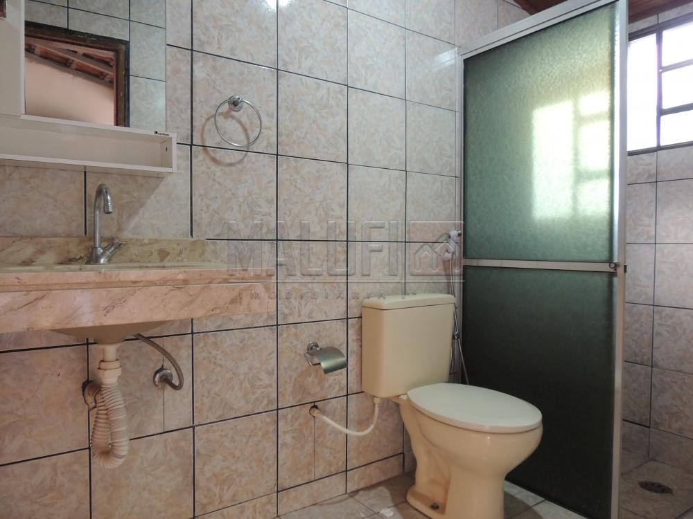 Alugar Casas / Padrão em Olímpia apenas R$ 1.300,00 - Foto 12 Alugar Casas / Padrão em Olímpia apenas R$ 1.300,00 - Foto 12
