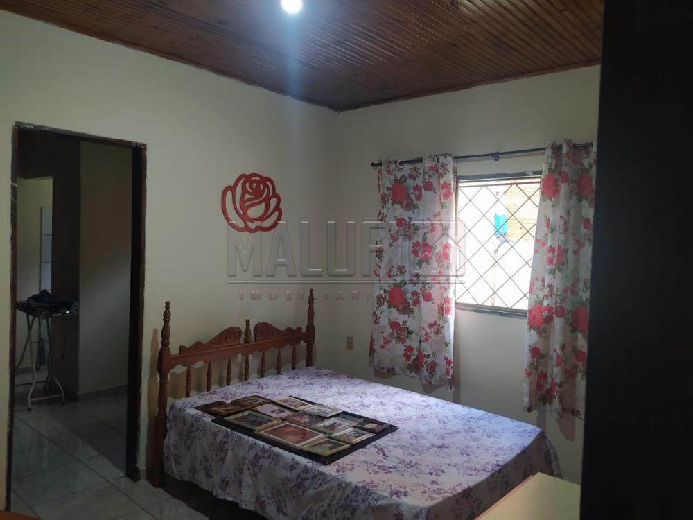 Comprar Casas / Padrão em Olímpia apenas R$ 180.000,00 - Foto 11 Comprar Casas / Padrão em Olímpia apenas R$ 180.000,00 - Foto 11