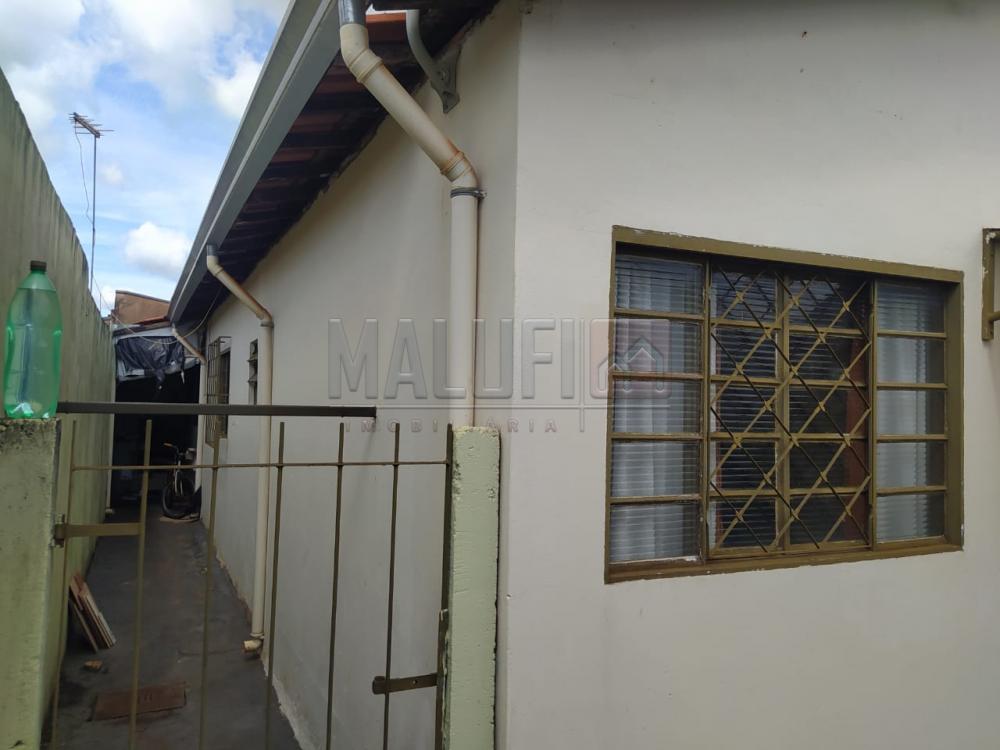 Comprar Casas / Padrão em Olímpia apenas R$ 180.000,00 - Foto 4 Comprar Casas / Padrão em Olímpia apenas R$ 180.000,00 - Foto 4