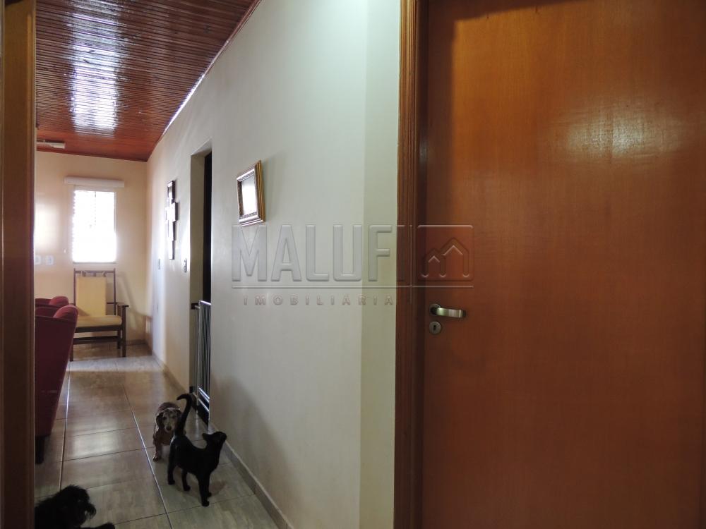 Comprar Casas / Padrão em Olímpia apenas R$ 350.000,00 - Foto 14 Comprar Casas / Padrão em Olímpia apenas R$ 350.000,00 - Foto 14