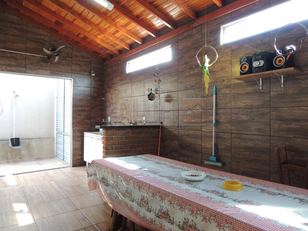 Comprar Casas / Padrão em Olímpia apenas R$ 350.000,00 - Foto 16 Comprar Casas / Padrão em Olímpia apenas R$ 350.000,00 - Foto 16