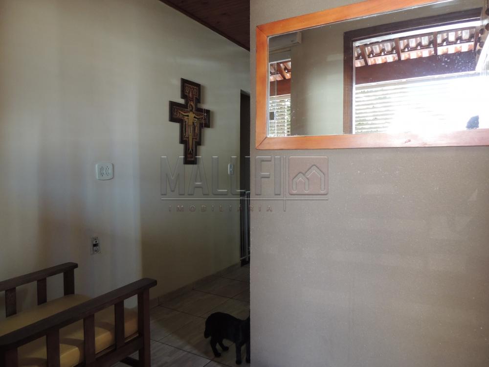 Comprar Casas / Padrão em Olímpia apenas R$ 350.000,00 - Foto 3 Comprar Casas / Padrão em Olímpia apenas R$ 350.000,00 - Foto 3