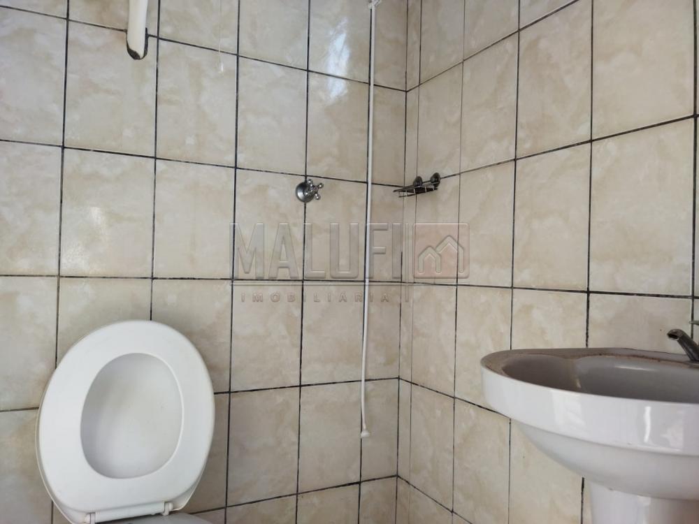 Alugar Casas / Padrão em Olímpia R$ 900,00 - Foto 5 Alugar Casas / Padrão em Olímpia R$ 900,00 - Foto 5