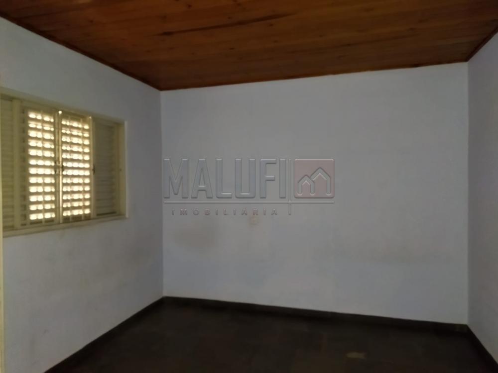 Alugar Casas / Padrão em Olímpia R$ 900,00 - Foto 3 Alugar Casas / Padrão em Olímpia R$ 900,00 - Foto 3