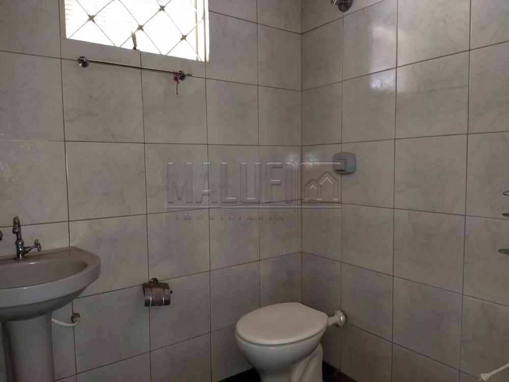 Alugar Casas / Padrão em Olímpia R$ 900,00 - Foto 8 Alugar Casas / Padrão em Olímpia R$ 900,00 - Foto 8