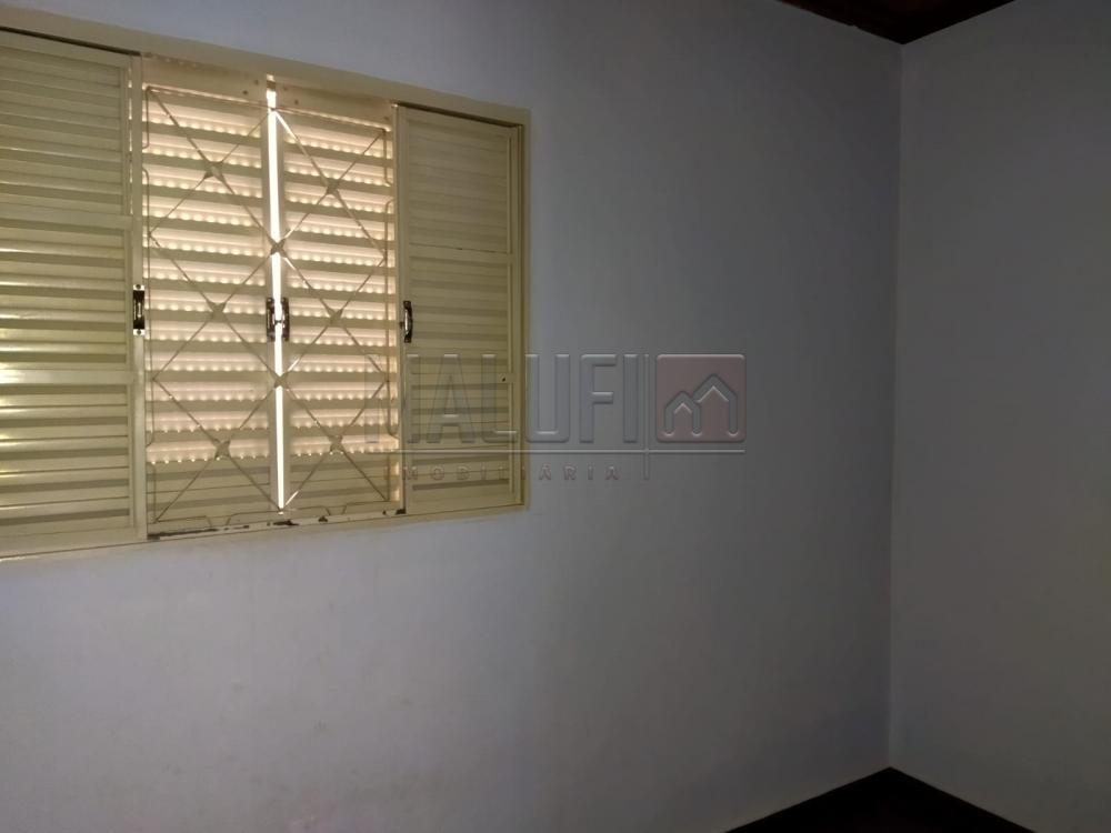 Alugar Casas / Padrão em Olímpia R$ 900,00 - Foto 6 Alugar Casas / Padrão em Olímpia R$ 900,00 - Foto 6