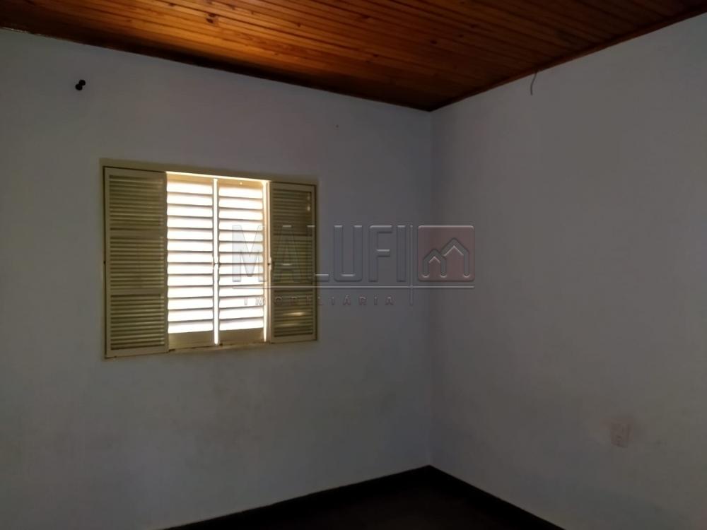 Alugar Casas / Padrão em Olímpia R$ 900,00 - Foto 4 Alugar Casas / Padrão em Olímpia R$ 900,00 - Foto 4