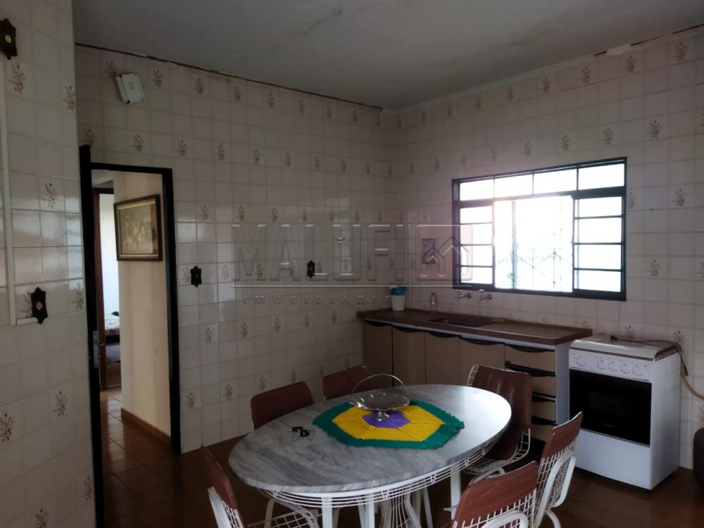 Alugar Casas / Padrão em Olímpia R$ 1.600,00 - Foto 16