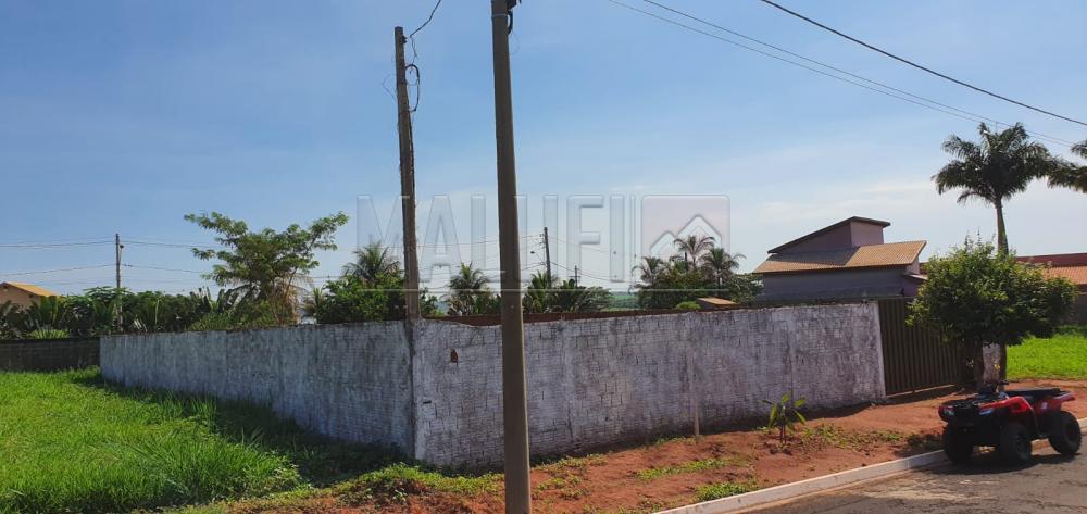 Comprar Terrenos / Condomínio em Guaraci R$ 90.000,00 - Foto 2