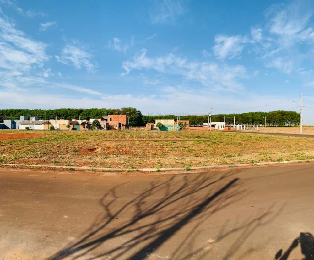 Terrenos Padrão Jardim Colorado Olímpia R 110.000,00. Cód. 23651