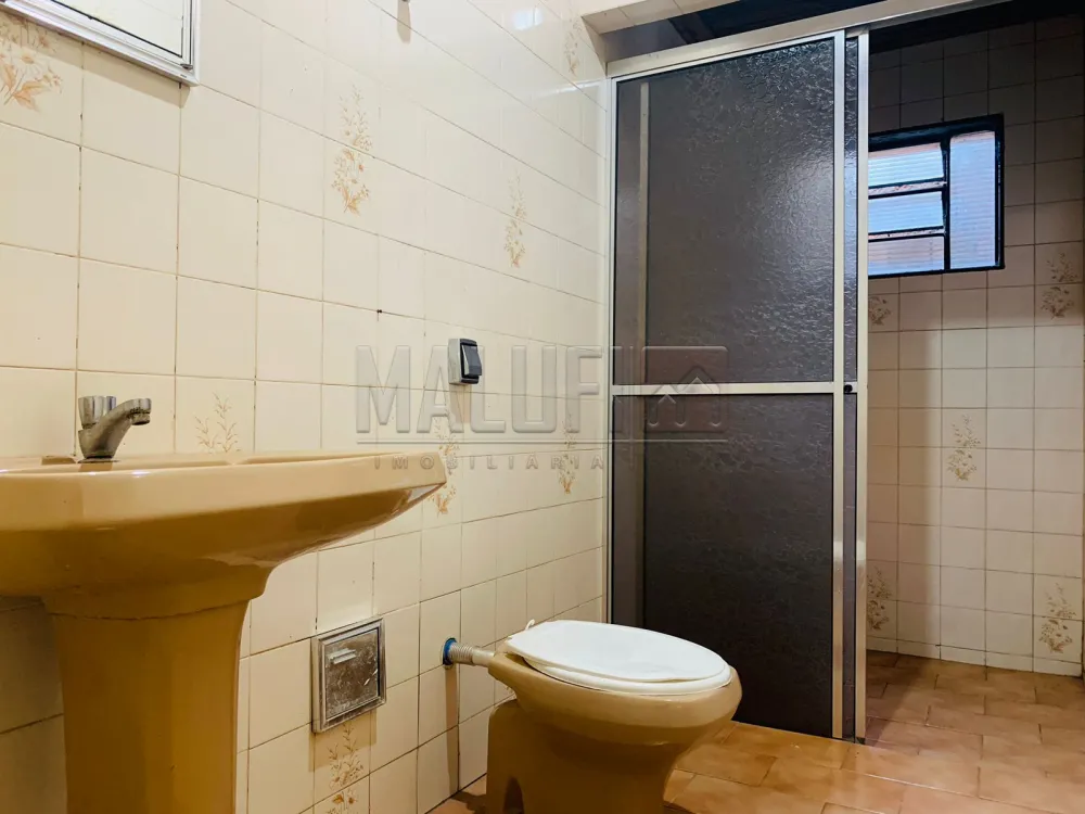 Alugar Casas / Padrão em Olímpia R$ 1.500,00 - Foto 7