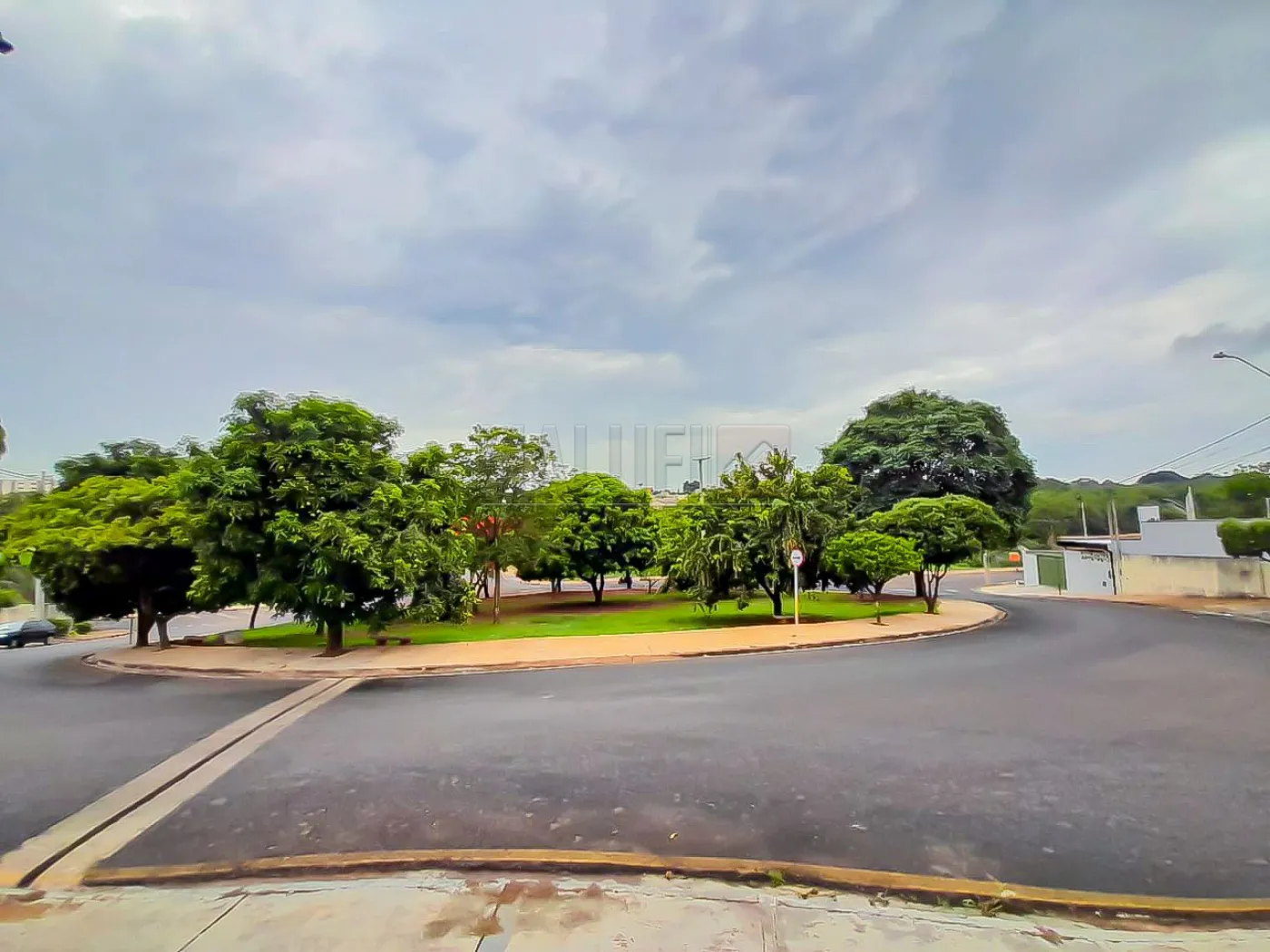 Alugar Comerciais / Sala em Olímpia R$ 2.400,00 - Foto 15