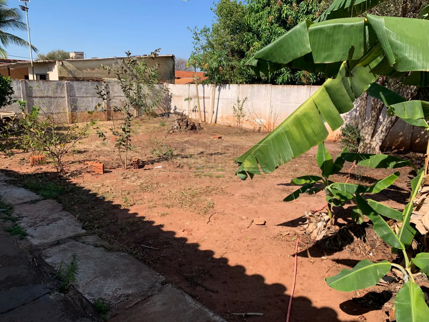 Alugar Casas / Padrão em Olímpia R$ 2.560,00 - Foto 17
