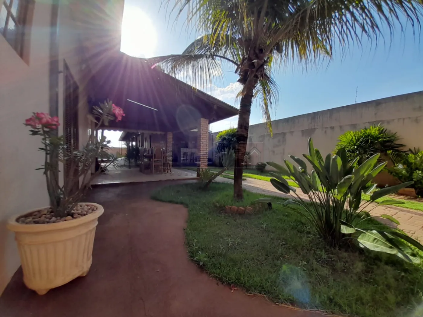 Alugar Casas / Mobiliadas em Olímpia R$ 5.000,00 - Foto 18
