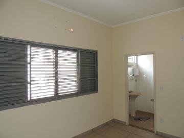 imagem 4 - Casas - Padrão imagem 4 - Casas - Padrão