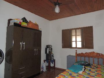 imagem 5 - Casas - Padrão imagem 5 - Casas - Padrão