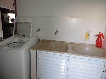Alugar Casas / Padrão em Olímpia R$ 2.900,00 - Foto 28 Alugar Casas / Padrão em Olímpia R$ 2.900,00 - Foto 28