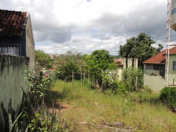 imagem 2 - Casas - Padrão imagem 2 - Casas - Padrão