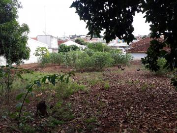 imagem 4 - Casas - Padrão imagem 4 - Casas - Padrão