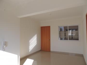 Olimpia nova eliza Apartamento Locacao R$ 1.800,00 Condominio R$450,00 3 Dormitorios 1 Vaga 