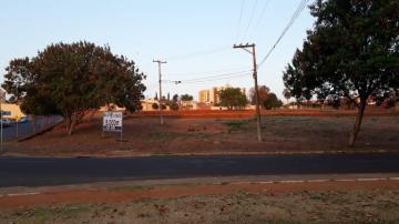 Olimpia Jardim Primavera Terreno Venda R$9.000.000,00  Area do terreno 15000.00m2 