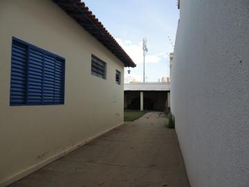Alugar Casas / Padrão em Olímpia R$ 2.500,00 - Foto 19 Alugar Casas / Padrão em Olímpia R$ 2.500,00 - Foto 19
