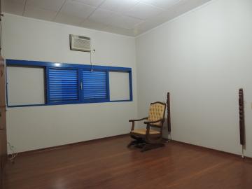 Alugar Casas / Padrão em Olímpia R$ 2.500,00 - Foto 14 Alugar Casas / Padrão em Olímpia R$ 2.500,00 - Foto 14