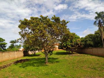 imagem 1 - Terrenos - Padrão imagem 1 - Terrenos - Padrão