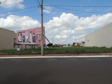 imagem 3 - Terrenos - Padrão imagem 3 - Terrenos - Padrão