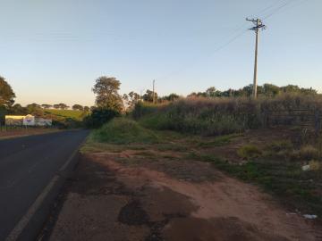 Olimpia Tamandua Rural Venda R$10.500.000,00  Area do terreno 242000.00m2 