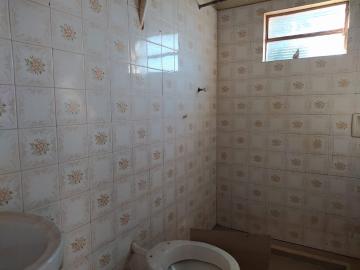 imagem 5 - Casas - Padrão imagem 5 - Casas - Padrão