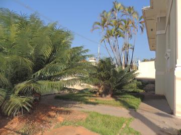 Alugar Casas / Comercial em Olímpia R$ 3.000,00 - Foto 12 Alugar Casas / Comercial em Olímpia R$ 3.000,00 - Foto 12
