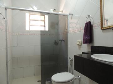 imagem 4 - Casas - Padrão imagem 4 - Casas - Padrão