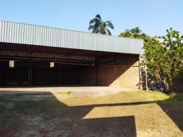 Alugar Comerciais / Galpão em Olímpia. apenas R$ 2.800,00