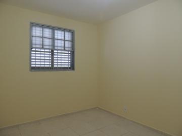 imagem 5 - Apartamentos - Padrão imagem 5 - Apartamentos - Padrão
