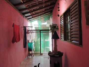 imagem 3 - Casas - Padrão imagem 3 - Casas - Padrão