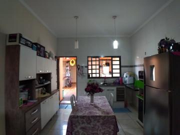 imagem 4 - Casas - Padrão imagem 4 - Casas - Padrão