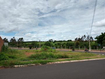 imagem 3 - Terreno Misto de esquina - Quinta da Colina imagem 3 - Terreno Misto de esquina - Quinta da Colina