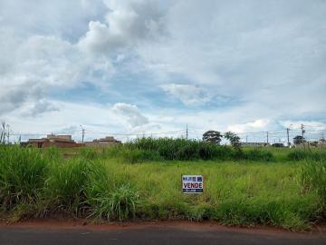 Alugar Terrenos / Padrão em Olímpia. apenas R$ 160.000,00