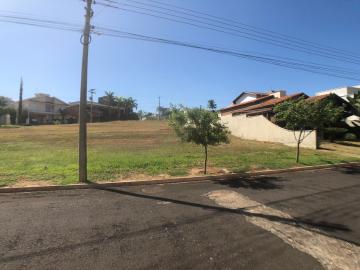 imagem 2 - Ótimo terreno residencial com boa localização - Thermas Park imagem 2 - Ótimo terreno residencial com boa localização - Thermas Park
