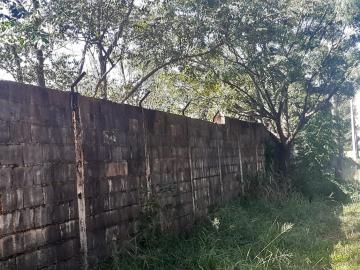 imagem 3 - Ótimo e amplo Terreno misto todo murado - Ribeiro dos Santos imagem 3 - Ótimo e amplo Terreno misto todo murado - Ribeiro dos Santos
