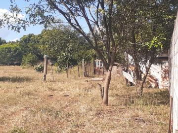 imagem 4 - Ótimo e amplo Terreno misto todo murado - Ribeiro dos Santos imagem 4 - Ótimo e amplo Terreno misto todo murado - Ribeiro dos Santos