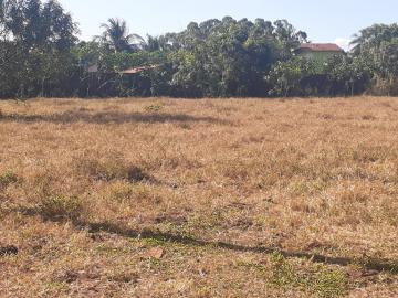 imagem 5 - Ótimo e amplo Terreno misto todo murado - Ribeiro dos Santos imagem 5 - Ótimo e amplo Terreno misto todo murado - Ribeiro dos Santos